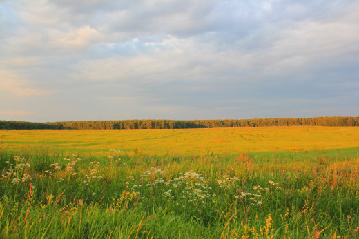 713514 (a): :2592x1728
